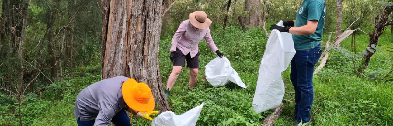 People in the bush